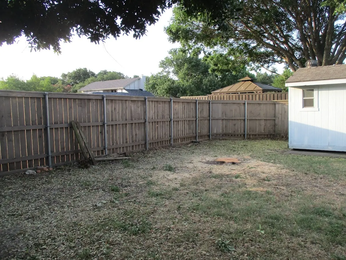 Cleared yard after professional tree removal in Sumner