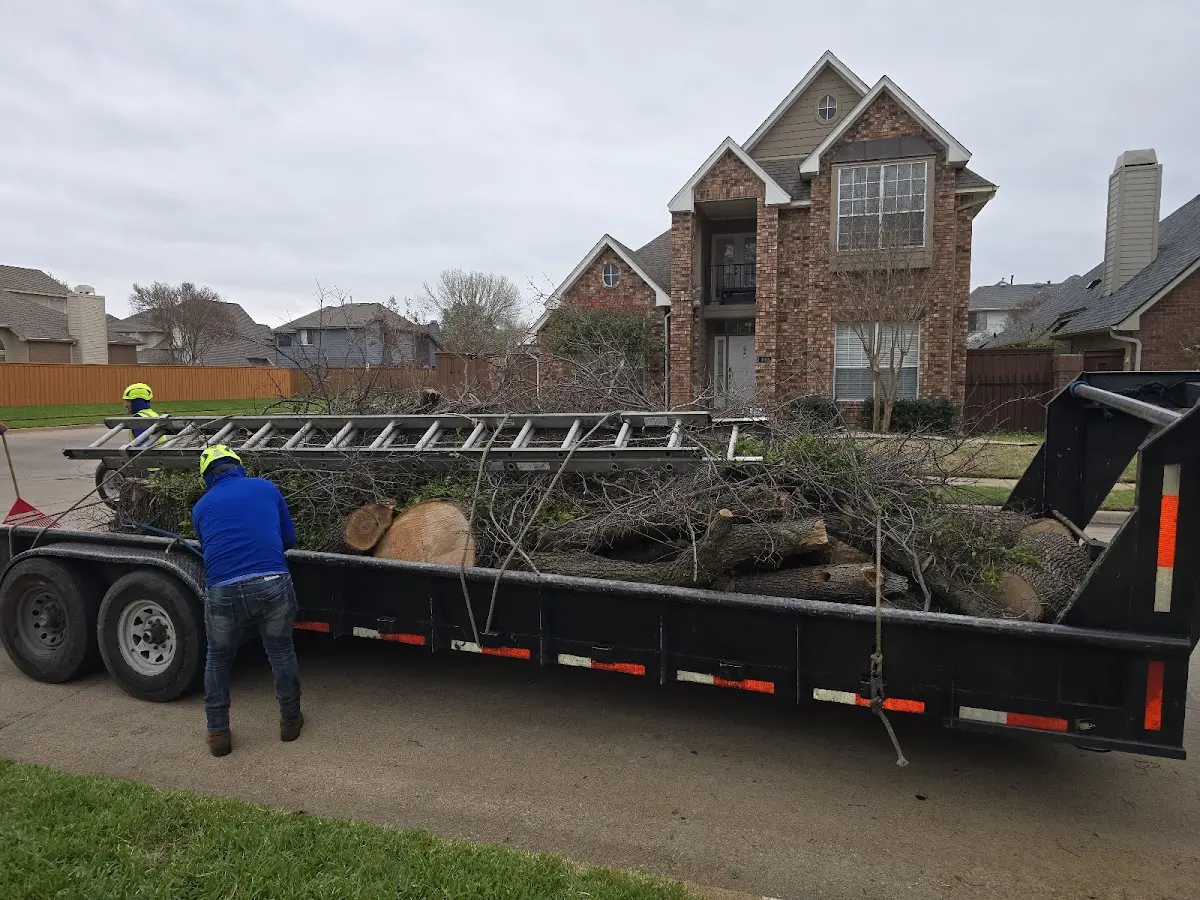 Expert Tree Fertilization with proper safety equipment in Sumner